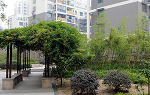 北城春色住宅小區(qū)景觀(guān)綠化工程