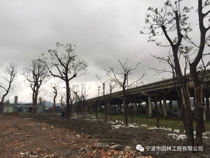 640.webp.jpg 640.webp.jpg