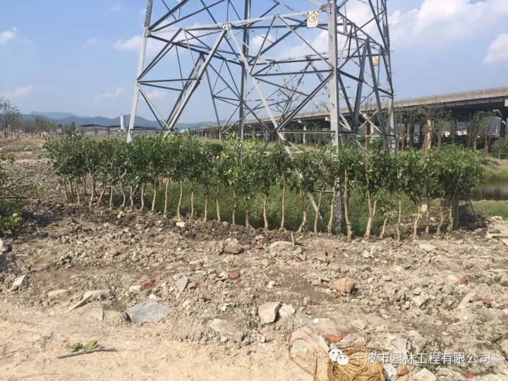 640.webp (2).jpg 640.webp (2).jpg