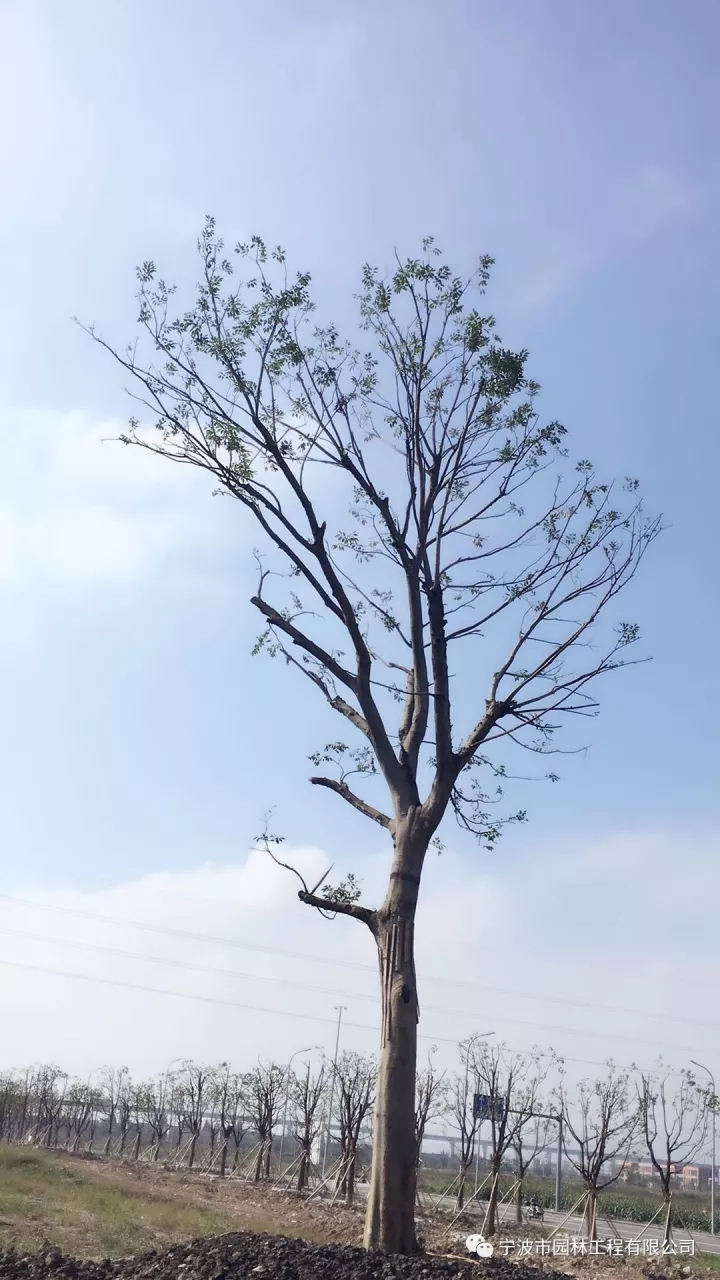 640.webp (4).jpg 640.webp (4).jpg