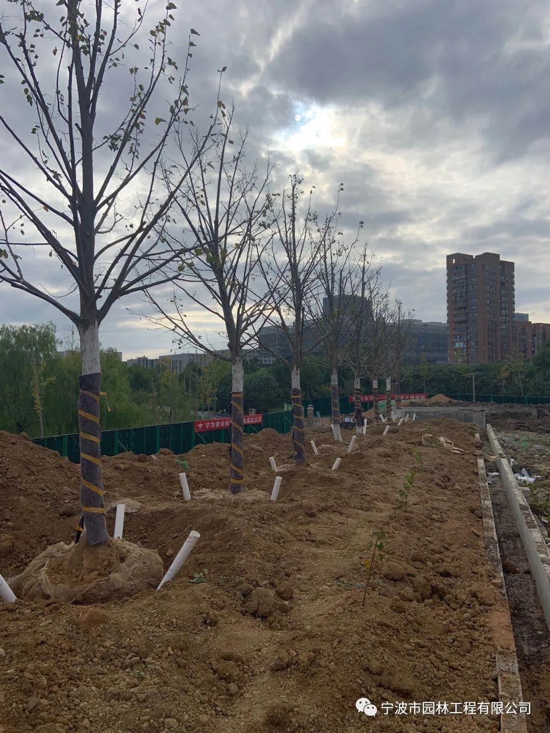 法國4.jpg 法國4.jpg