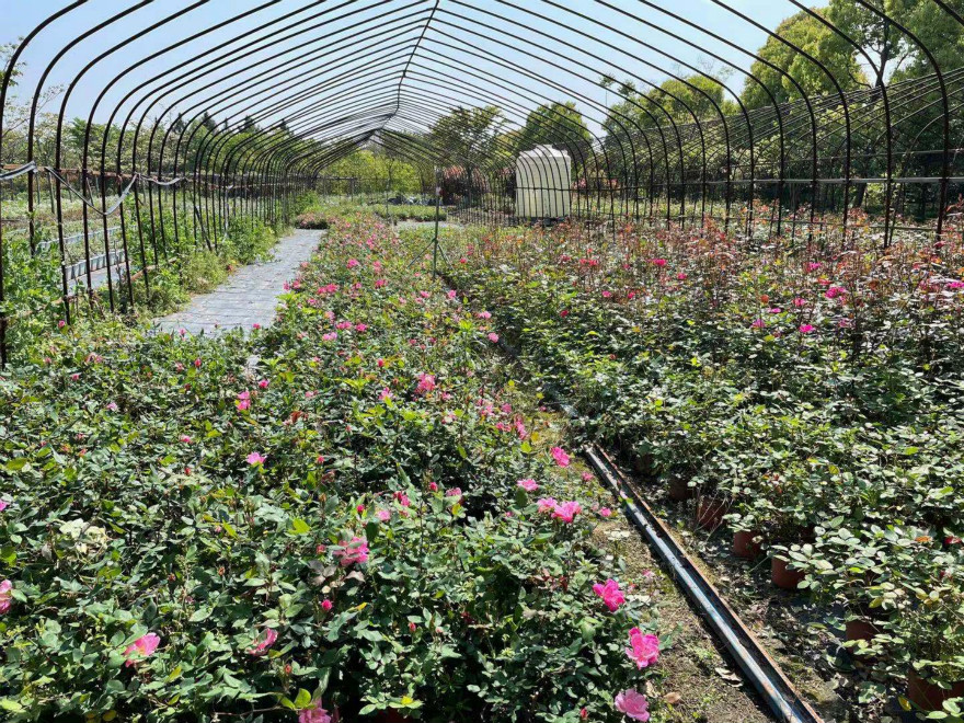 602673073_meitu_1.jpg 602673073_meitu_1.jpg