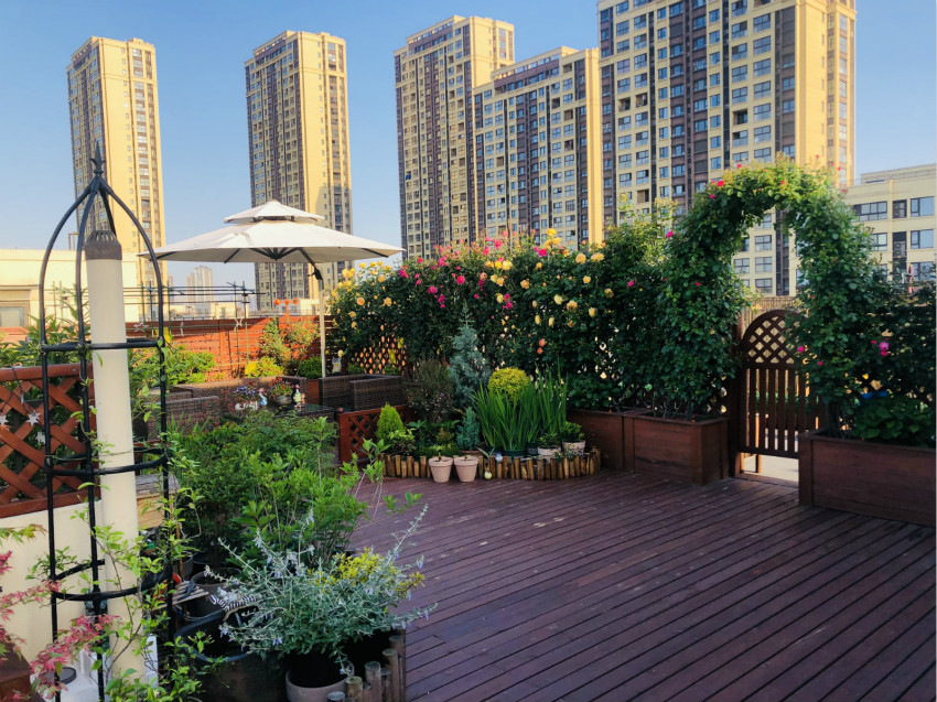 0001_meitu_1.jpg 0001_meitu_1.jpg