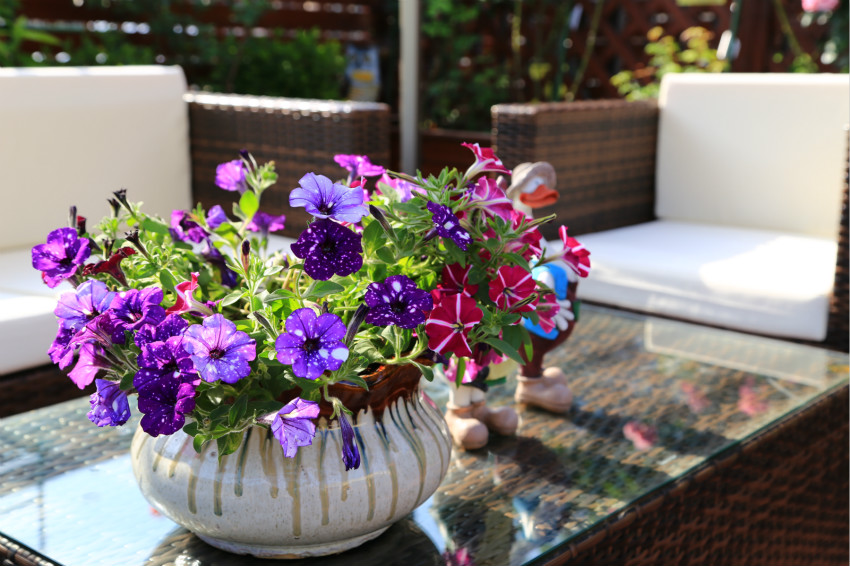 0012_meitu_3.jpg 0012_meitu_3.jpg