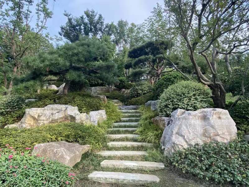 313bf8e71f11adc8ecb57147585cf50.jpg 313bf8e71f11adc8ecb57147585cf50.jpg